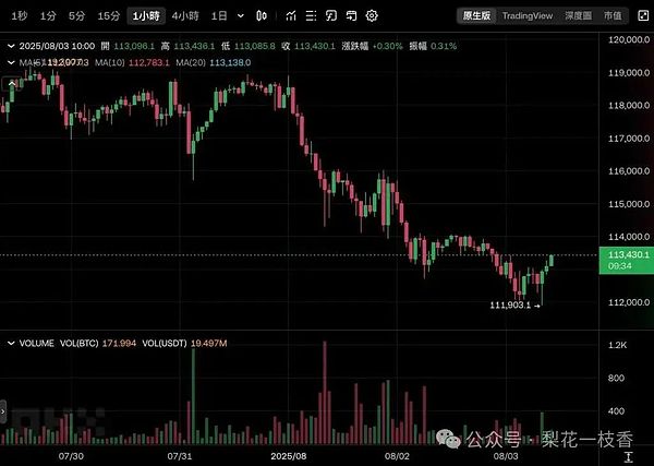 从文字NFT到元宇宙：Loot Chain如何重新定义区块链游戏生态