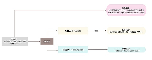 比特币站稳关键支撑位，蓄势待发的新一轮牛市信号