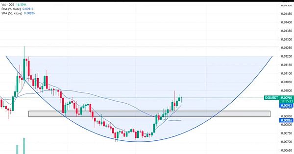 深度解读Nostr Assets公平铸造细则：机会与风险并存