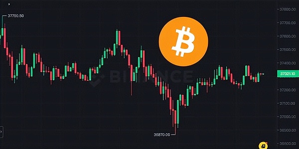 LOOM：一个被市场忽视的潜力股
