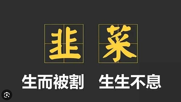 空投达人必备：PandaTool批量转账全攻略