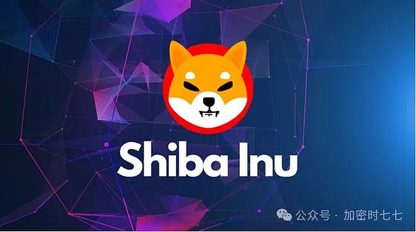 加密货币的惊险过山车：为什么波动性是成长的必经之路