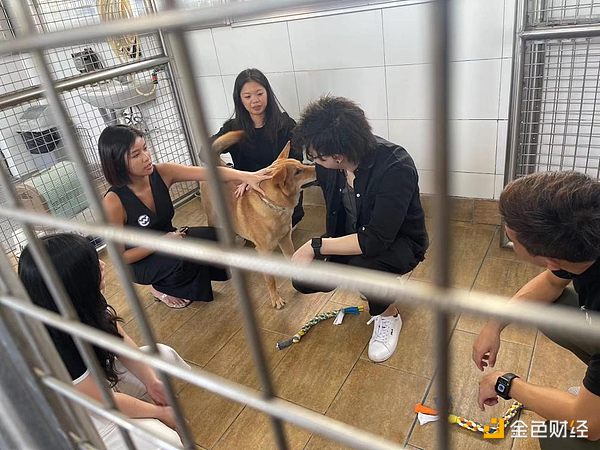 比特币减半倒计时：199天后或将开启新一轮牛市？
