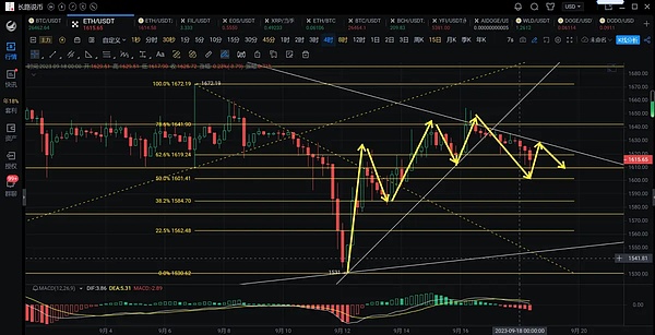 9月13日投资手记：耐心是财富最好的朋友
