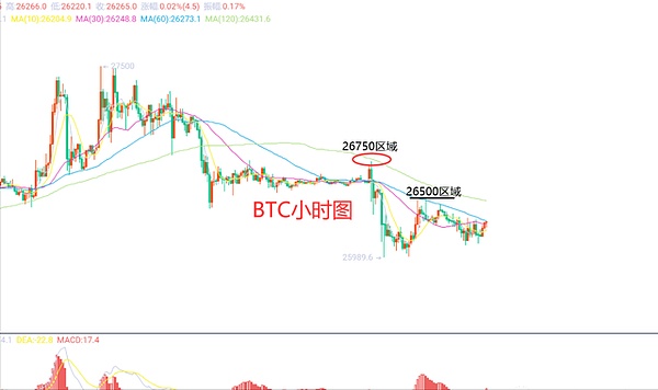 马斯克又有新动作！X平台即将迎来Grok智能分析功能