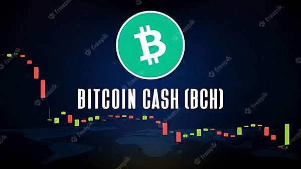 重磅！华尔街巨头贝莱德抢先布局比特币ETF，加密市场迎来历史性时刻